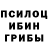 Псилоцибиновые грибы Psilocybe Banks too