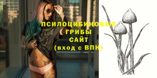 ГАЛЛЮЦИНОГЕННЫЕ ГРИБЫ Володарск