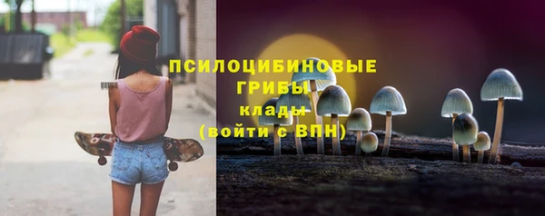 ГАЛЛЮЦИНОГЕННЫЕ ГРИБЫ Володарск