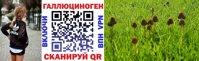 Псилоцибиновые грибы мухоморы  купить закладку  Железногорск 